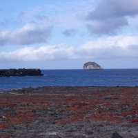 Foto de Galapagos