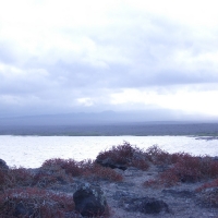 Foto de Galapagos
