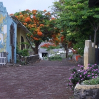Foto de Galapagos