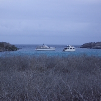 Foto de Galapagos