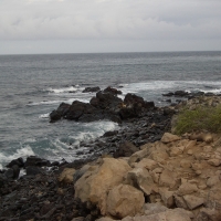 Foto de Galapagos