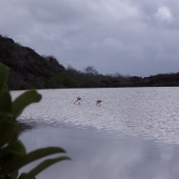 Foto de Galapagos