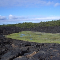 Foto de Galapagos