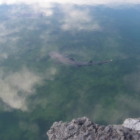 Foto de Galapagos