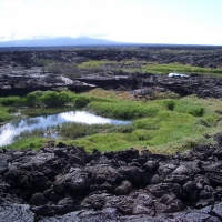 Foto de Galapagos