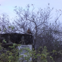 Foto de Galapagos