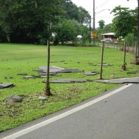 Foto de Luquillo