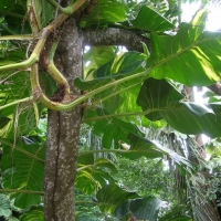 Foto de San Juan