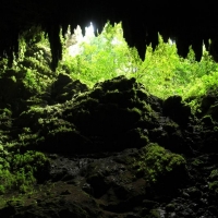 Foto de Arecibo