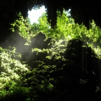 Foto de Arecibo
