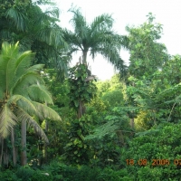 Foto de San Juan