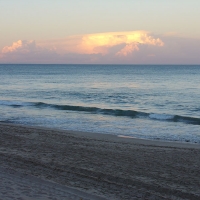 Foto de Palmeretes