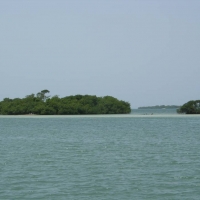 Foto de Salinas