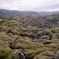 Foto de Islandia