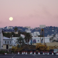 Foto de Algiers
