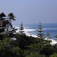 Foto de Isla Negra