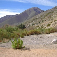 Foto de Elqui