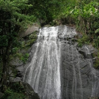 Foto de El Yunque