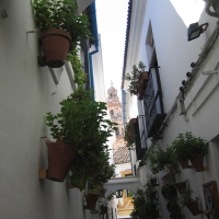 Foto de Córdoba