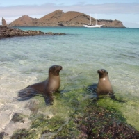 Foto de Galapagos