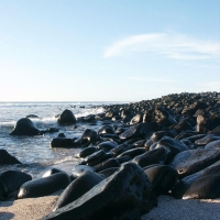 Foto de Galapagos