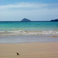 Foto de Galapagos