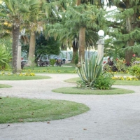 Foto de A Toxa