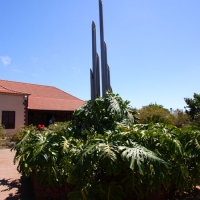 Foto de La Gomera