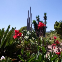 Foto de La Gomera