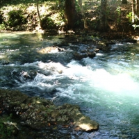 Foto de PALENQUE CHIAPAS