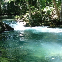 Foto de PALENQUE CHIAPAS