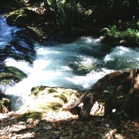 Foto de PALENQUE CHIAPAS