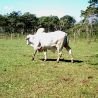 Foto de PALENQUE CHIAPAS