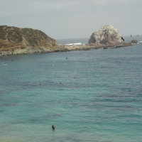 Foto de Algarrobo