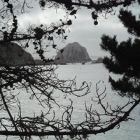 Foto de Algarrobo