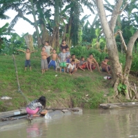 Foto de Amazonas