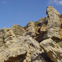 Foto de Conil de la Frontera