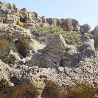 Foto de Conil de la Frontera