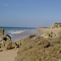 Foto de Conil de la Frontera