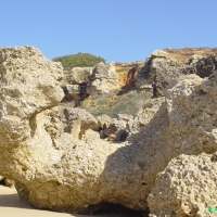 Foto de Conil de la Frontera