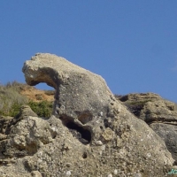 Foto de Conil de la Frontera