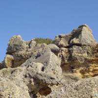 Foto de Conil de la Frontera