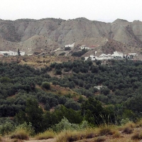 Foto de Bacor-Olivar