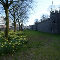 Foto de CARDIFF