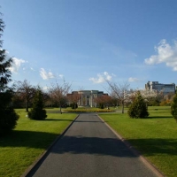 Foto de CARDIFF