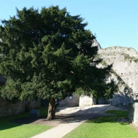 Foto de CHEPSTOW