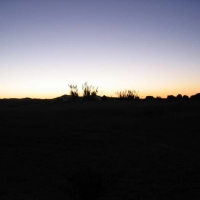 Foto de ERG CHEBBI