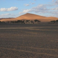 Foto de ERG CHEBBI