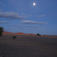 Foto de ERG CHEBBI
