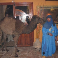 Foto de ERG CHEBBI